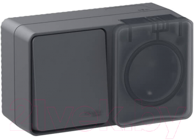 Блок выключатель+розетка Schneider Electric Profi54 ATN544070 - фото