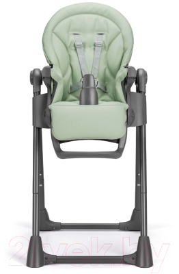 Стульчик для кормления Cam Pappananna Icon / S2250-C256 (мятный)