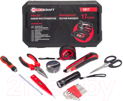 Универсальный набор инструментов ForceKraft FK-1017 - фото