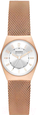 Часы наручные женские Skagen SKW3035 - фото