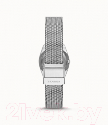Часы наручные женские Skagen SKW3038