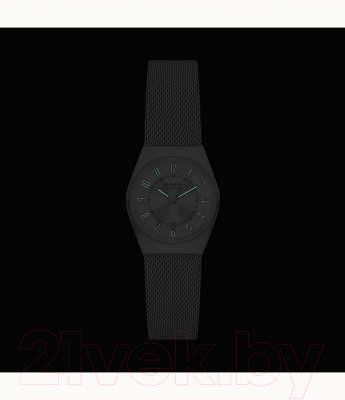 Часы наручные женские Skagen SKW3038