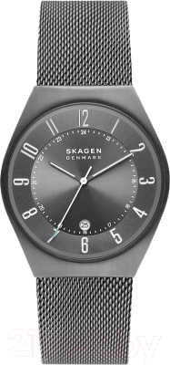 Часы наручные мужские Skagen SKW6815 - фото