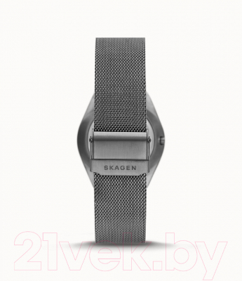 Часы наручные мужские Skagen SKW6815