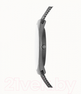 Часы наручные мужские Skagen SKW6815