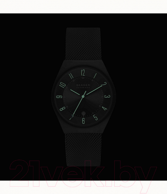 Часы наручные мужские Skagen SKW6815