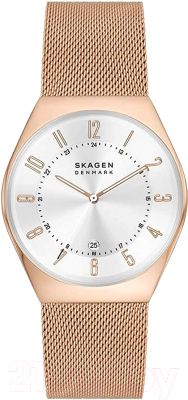 Часы наручные мужские Skagen SKW6818 - фото