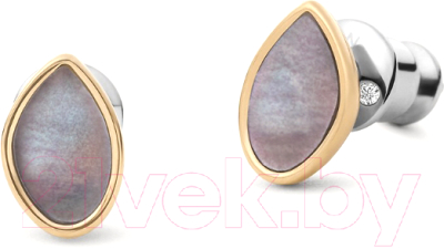 Серьги Skagen SKJ1554710 - фото