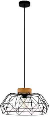 Потолочный светильник Eglo Padstow 43364 - фото