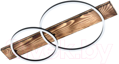 Потолочный светильник Eglo Boyal 99408 - фото