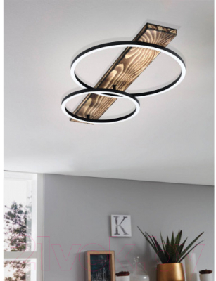 Потолочный светильник Eglo Boyal 99408