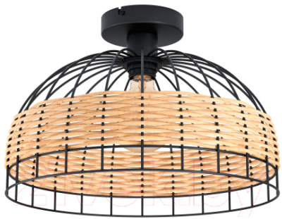 Потолочный светильник Eglo Anwick 43398 - фото