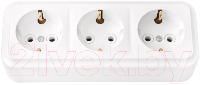 Розетка Bylectrica Пралеска РА16-265