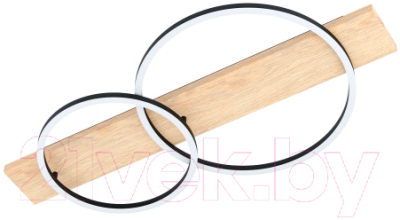 Потолочный светильник Eglo Boyal 99467 - фото