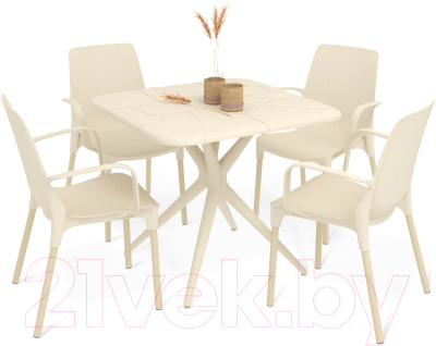 Комплект садовой мебели Sheffilton SHT-DS202 - фото