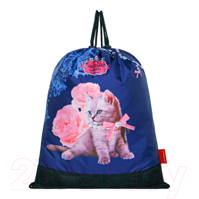 Школьный рюкзак Across ACR22-198-4