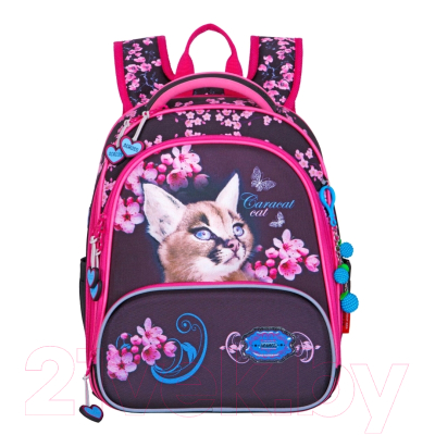 Школьный рюкзак Across ACR22-198-5