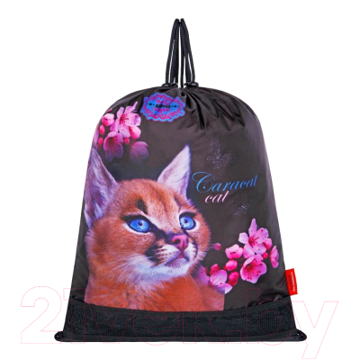 Школьный рюкзак Across ACR22-198-5