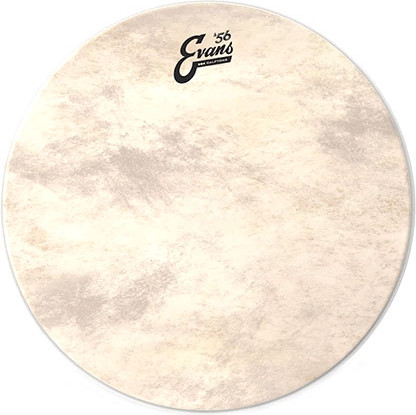 Пластик для барабана Evans BD20GB4CT - фото