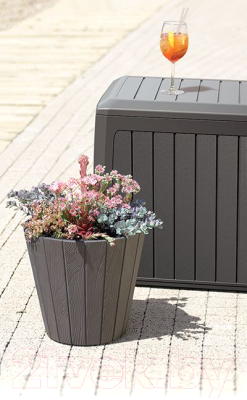 Ящик для хранения уличный Prosperplast MBBD290-S433 BOXE BOARD