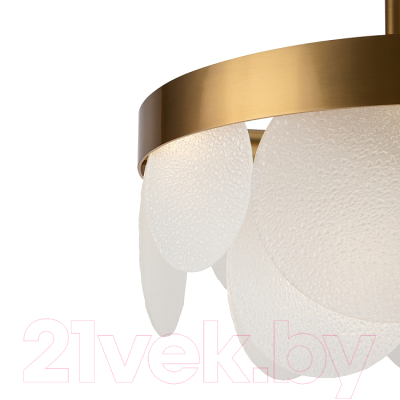 Люстра Freya Porto FR5104PL-06BS3