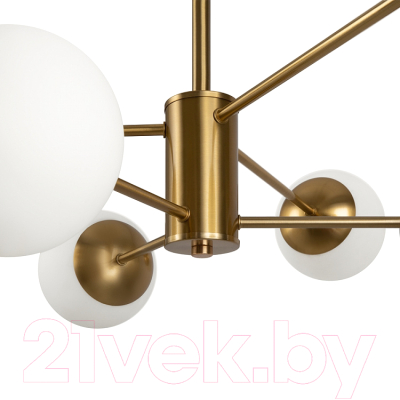 Люстра Freya Sonder FR5204PL-06BS