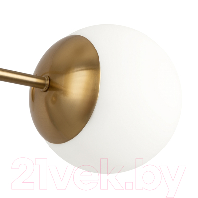 Люстра Freya Sonder FR5204PL-06BS