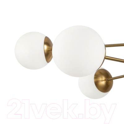 Люстра Freya Sonder FR5204PL-08BS