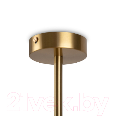 Люстра Freya Sonder FR5204PL-08BS