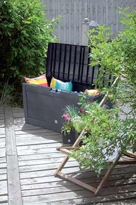 Сундук уличный Prosperplast Boxe rato MBR310-S433