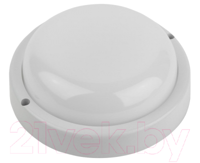 Светильник ЖКХ ЭРА SPB-201-2-40K-018 / Б0054581 - фото