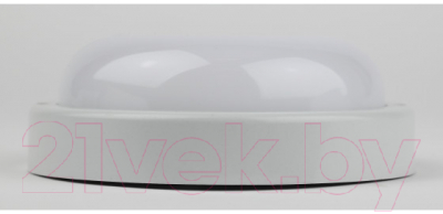 Светильник ЖКХ ЭРА SPB-201-2-40K-018 / Б0054581