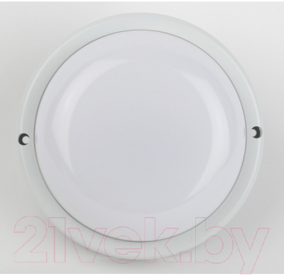 Светильник ЖКХ ЭРА SPB-201-2-65K-018 / Б0054582