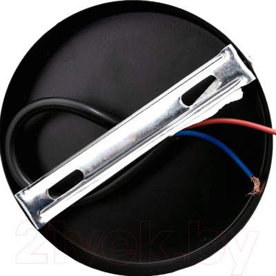 Потолочный светильник BayerLux 69954/1 / 5200208