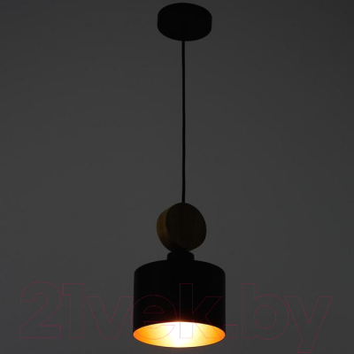 Потолочный светильник BayerLux 88332/1 / 4964628