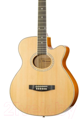 Акустическая гитара Homage LF-401C-N