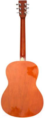 Акустическая гитара Homage LF-3910