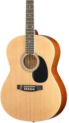 Акустическая гитара Homage LF-3910