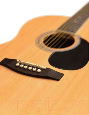 Акустическая гитара Homage LF-3910