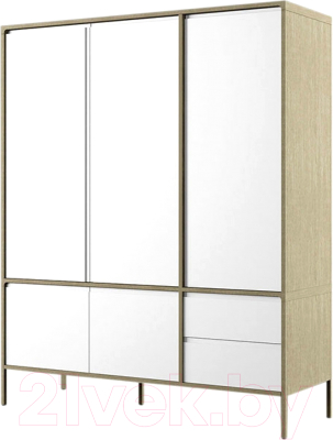 Шкаф Молодечномебель Хитроу В2D5 / ВМФ-1665 - фото