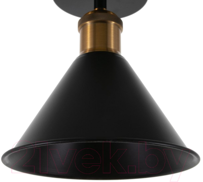 Потолочный светильник BayerLux Мараньон 3940827