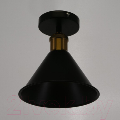 Потолочный светильник BayerLux Мараньон 3940827