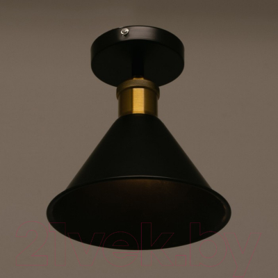 Потолочный светильник BayerLux Мараньон 3940827