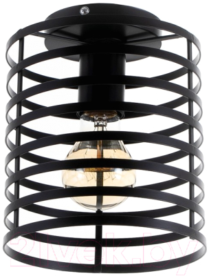 Потолочный светильник BayerLux 69936/1 5200214 - фото