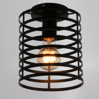 Потолочный светильник BayerLux 69936/1 5200214