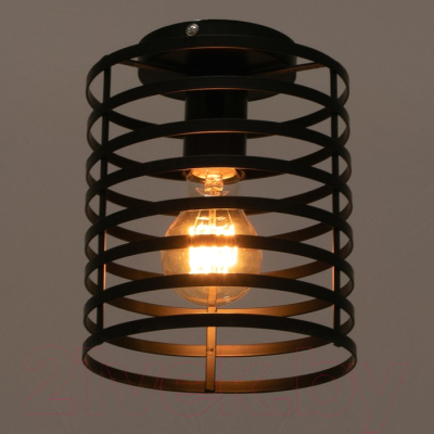 Потолочный светильник BayerLux 69936/1 5200214