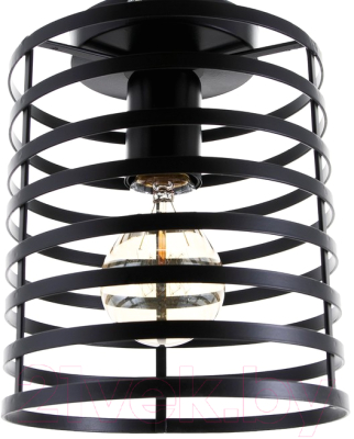 Потолочный светильник BayerLux 69936/1 5200214