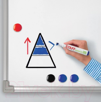 Магнитно-маркерная доска Staff 238136