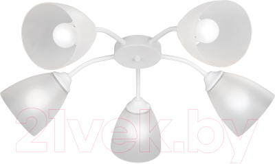 Люстра Vitaluce V3750/5PL - фото