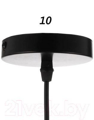 Потолочный светильник BayerLux 1251/1BK / 5465112